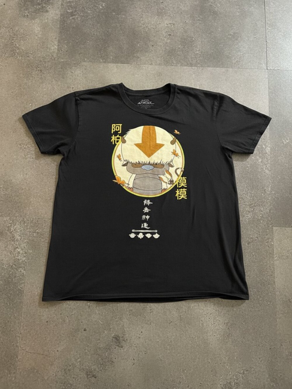 Avatar Aang Appa Cartoon Graphic Tee Black T-Shirt Anime Fan Streetwear